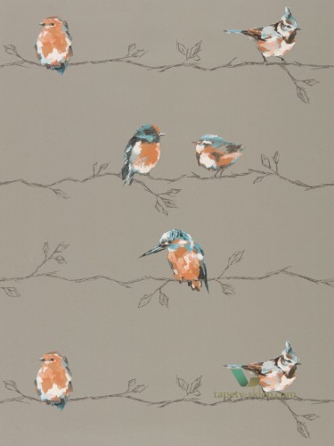 Tapeta Harlequin 111485 Standing Ovation Persico