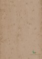 Tapeta Blacha Arte 37522 Stellar Metal X Signum
