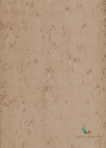 Tapeta Blacha Arte 37522 Stellar Metal X Signum