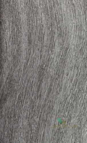 Tapeta Colani 56313 Evolution