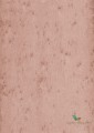 Tapeta Blacha Arte 37503 Stellar Metal X Signum
