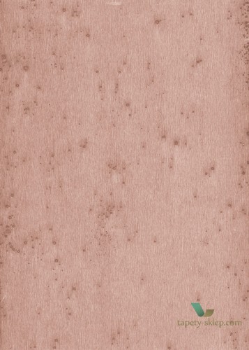 Tapeta Blacha Arte 37503 Stellar Metal X Signum