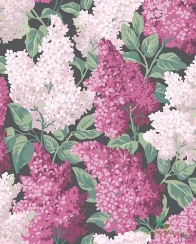 Tapeta kwiaty bzu Cole&Son Lilac 115/1001 Botanical Botanica