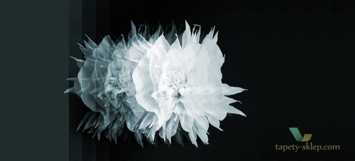 Fototapeta Wall&Deco Cinetica WDCI1502 Contemporary 15