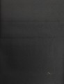 Tapeta Thibaut T57162 Western Leather Texture Resource 5