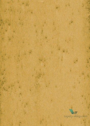 Tapeta Blacha Arte 37519 Stellar Metal X Signum