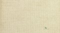Tapeta Thibaut T57143 Dublin Weave Texture Resource 5