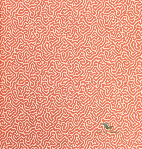 Tapeta Cole & Son 107/4018 Vermicelli Curio