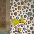 Tapeta John Derian PJD6000/01 Picture Book