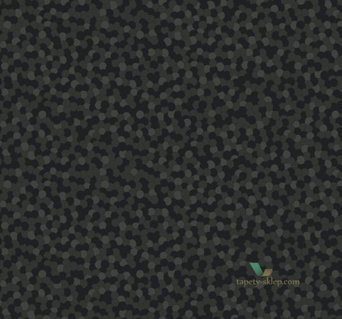 Tapeta BW21710 Black & White