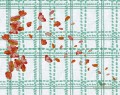 Fototapeta Wall&Deco Scottish blumen WDSB1602 Contemporary 2016
