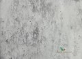 Tapeta Designers Guild PDG716/06 Jardin des plantes
