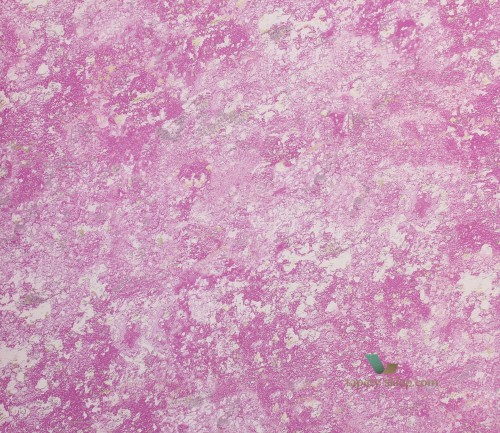 Tapeta Designers Guild PDG640/10 Sukumala