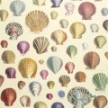 Tapeta John Derian PJD6000/01 Picture Book