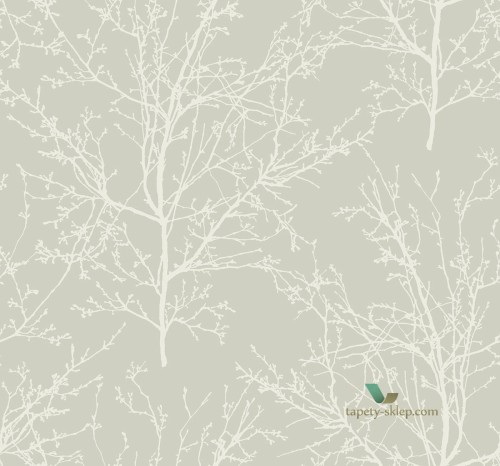 Tapeta BW22410 Black & White