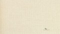 Tapeta Thibaut T57140 Dublin Weave Texture Resource 5