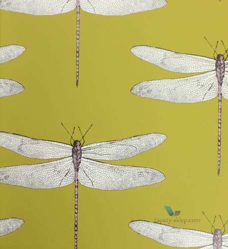 Tapeta Ważki Harlequin 111244 Palmetto