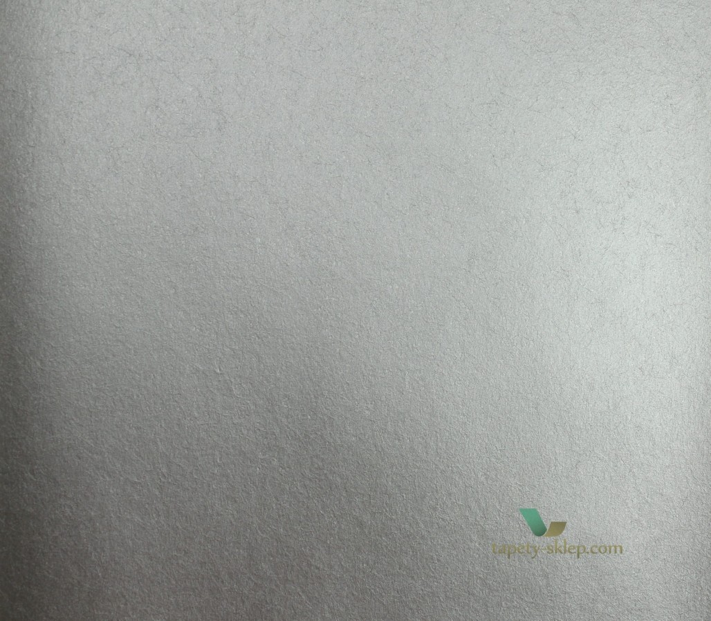 Tapeta CW5410-08 O&L Wallpaper Album 6