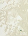 Panel Texam MACRO-015 Homer Gypsum