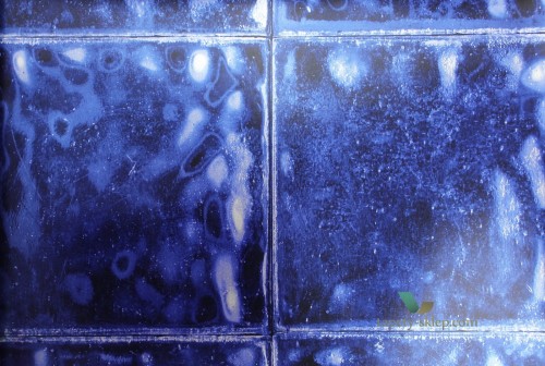 Tapeta PDG646/01 Palasini Designers Guild