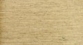 Tapeta Thibaut T57185 Arrowroot Texture Resource 5