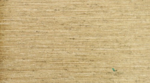 Tapeta Thibaut T57185 Arrowroot Texture Resource 5