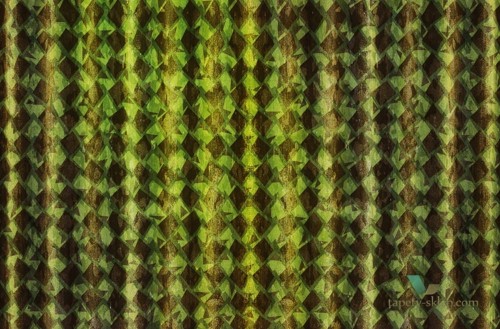 Fototapeta Wall&Deco Dancing Queen WDDQ1502 Contemporary 15