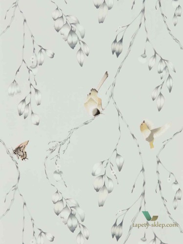 Tapeta Harlequin 111768 Iyanu Zapara