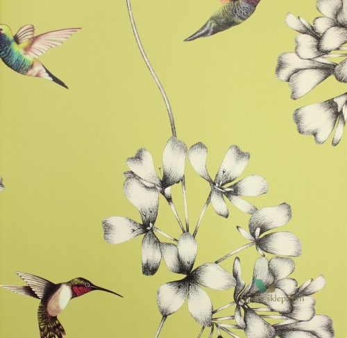 Tapeta Harlequin 111061 Amazilia