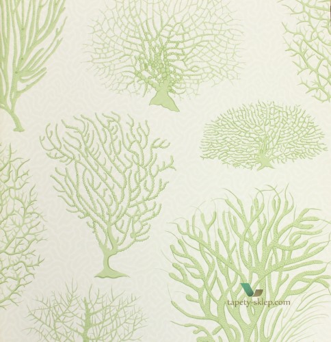 Tapeta Cole & Son 107/2008 Seafern Curio