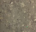 Tapeta Designers Guild P622/05 Alexandria