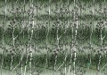 Fototapeta Wall&Deco Fibre WDFI1502 Contemporary 15