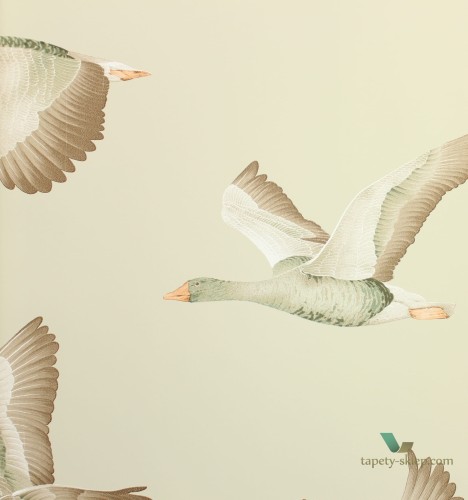 Tapeta ptaki Sanderson 216609 Geese Elysian