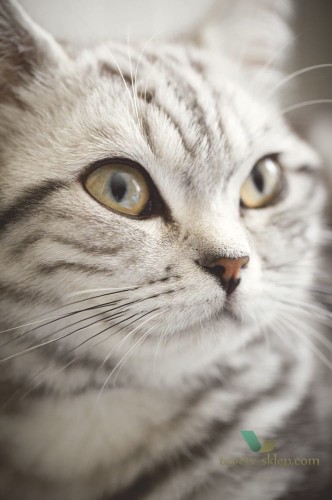 Fototapeta Eijffinger 364123 Wallpower Junior