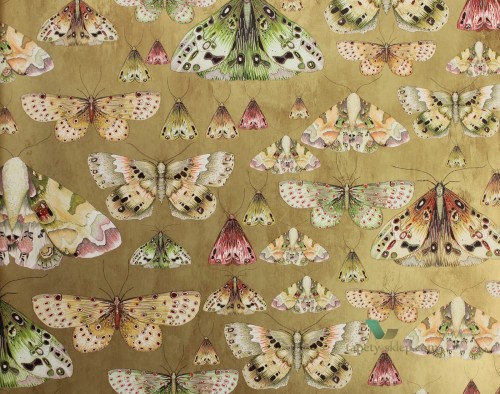 Tapeta Designers Guild PDG713/06 Jardin des plantes