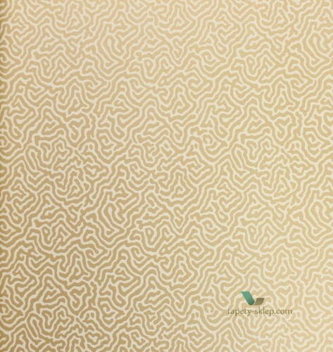 Tapeta Cole & Son 107/4021 Vermicelli Curio