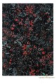 Dywan w kwiaty Secret Black Carpet Decor Fargotex