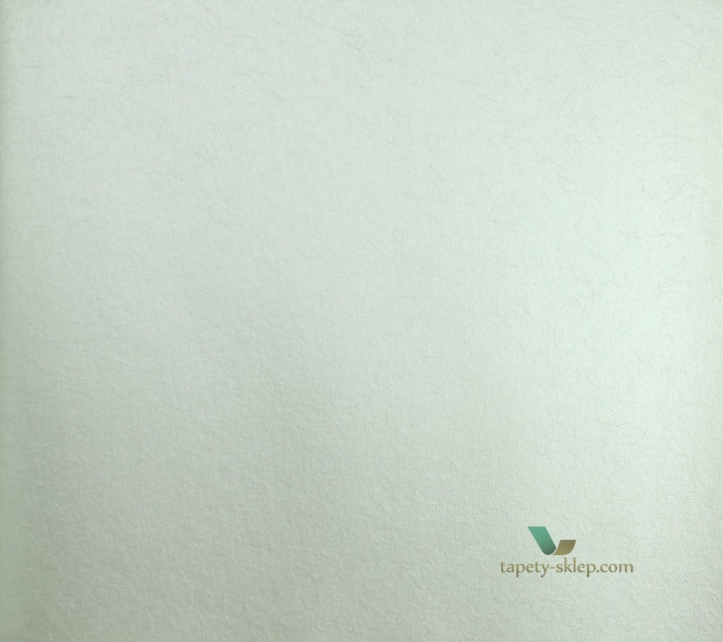 Tapeta CW5410-20 O&L Wallpaper Album 6