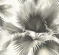 Tapeta Wallquest PS40100 Palm Springs