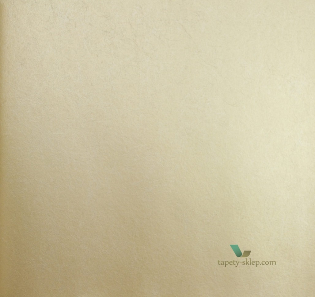 Tapeta CW5410-11 O&L Wallpaper Album 6