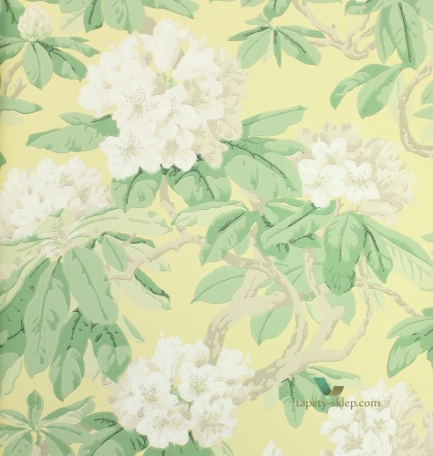 Tapeta Cole and Son 99/4021 Folie Bourlie