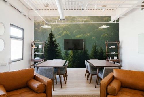 Fototapeta Las Słoneczny na wymiar