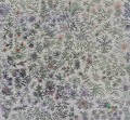 Fototapeta Wall&Deco WDAT1801 A TRATTI Contemporary 2018