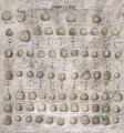 Fototapeta Wall&Deco WDPC1801 POMMES A CIDRE Contemporary 2018
