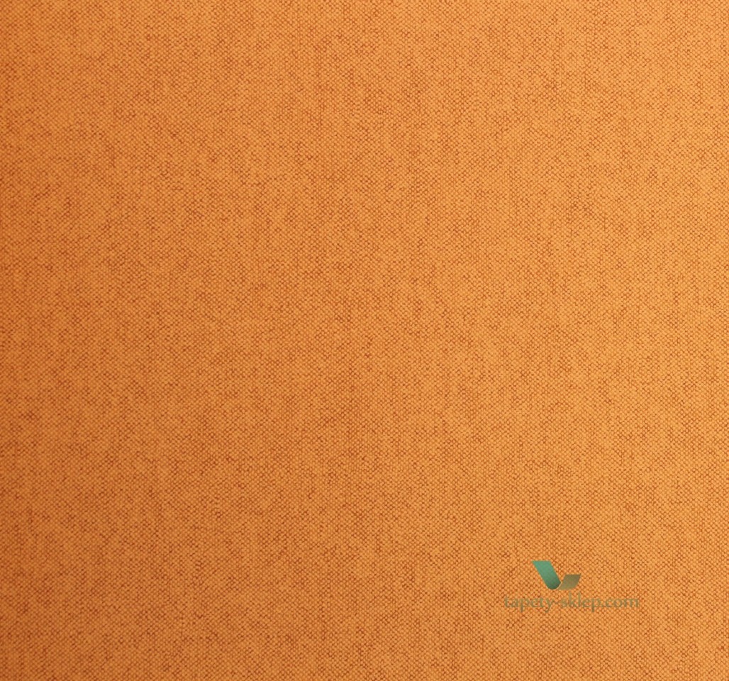 Tapeta Arte 40103 Flamant Les Unis