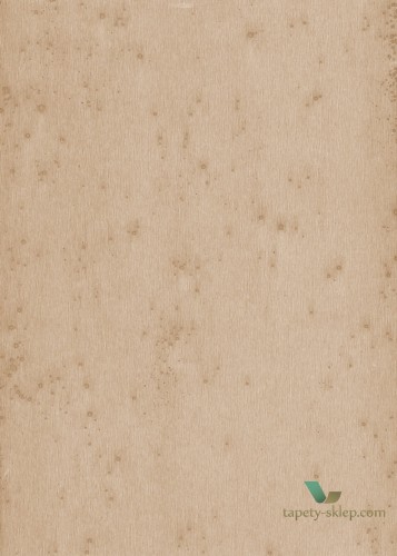 Tapeta Blacha Arte 37521 Stellar Metal X Signum