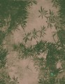 Fototapeta Wall&Deco WDVI1801 VIRIDE Contemporary 2018