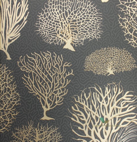 Tapeta Cole & Son 107/2006 Seafern Curio