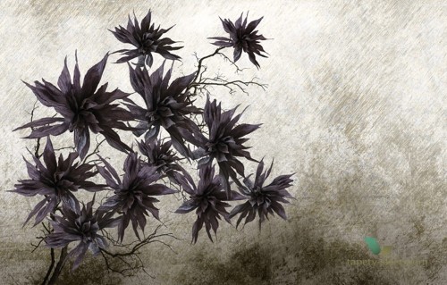 Tapeta Wall&Deco Silver blossom WDSB1401 Contemporary 14