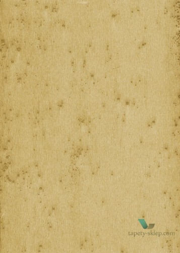 Tapeta Blacha Arte 37516 Stellar Metal X Signum